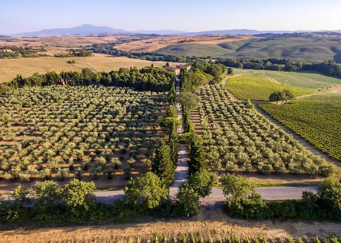 Agriturismo Pometti - Fattoria La Selva