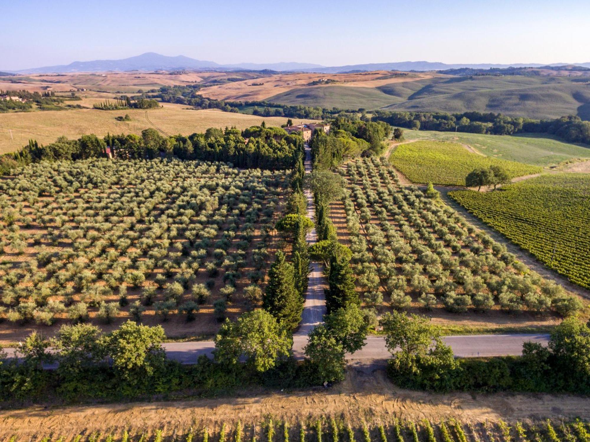 Agriturismo Pometti - Fattoria La Selva Trequanda